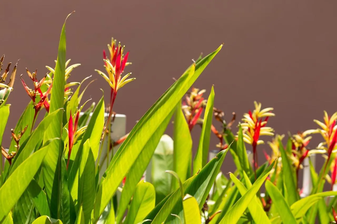 Casa Caribe At Las Casitas Village 파하르도 푸에르토리코